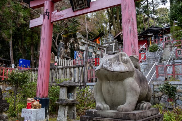 Fushimi Inari Frog