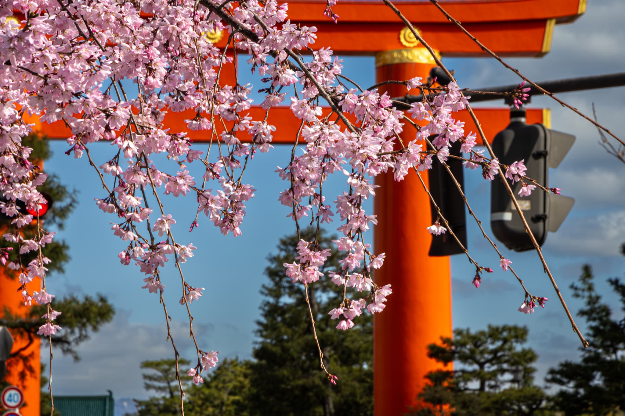 the views from a in front of a random konbini