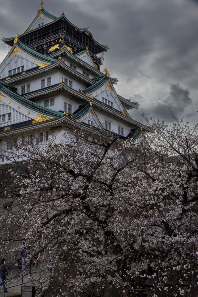 osaka castle & grey skies 